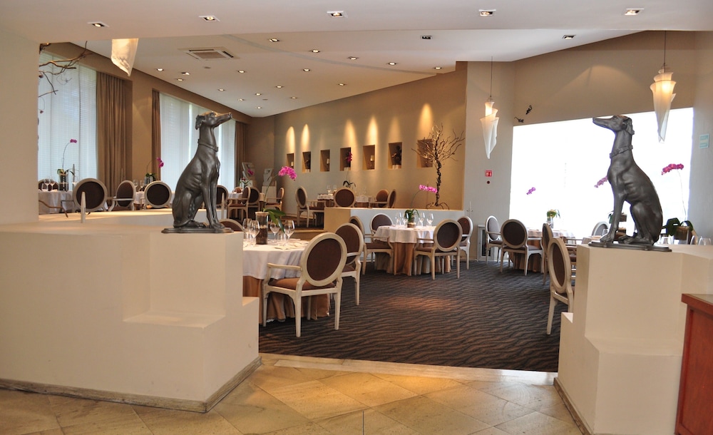 Royal Pedregal Hotel 35/47