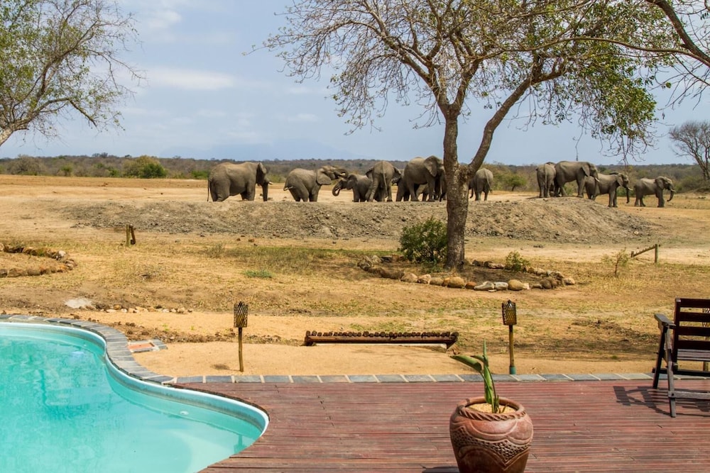 Tangala Safari Camp 27/50