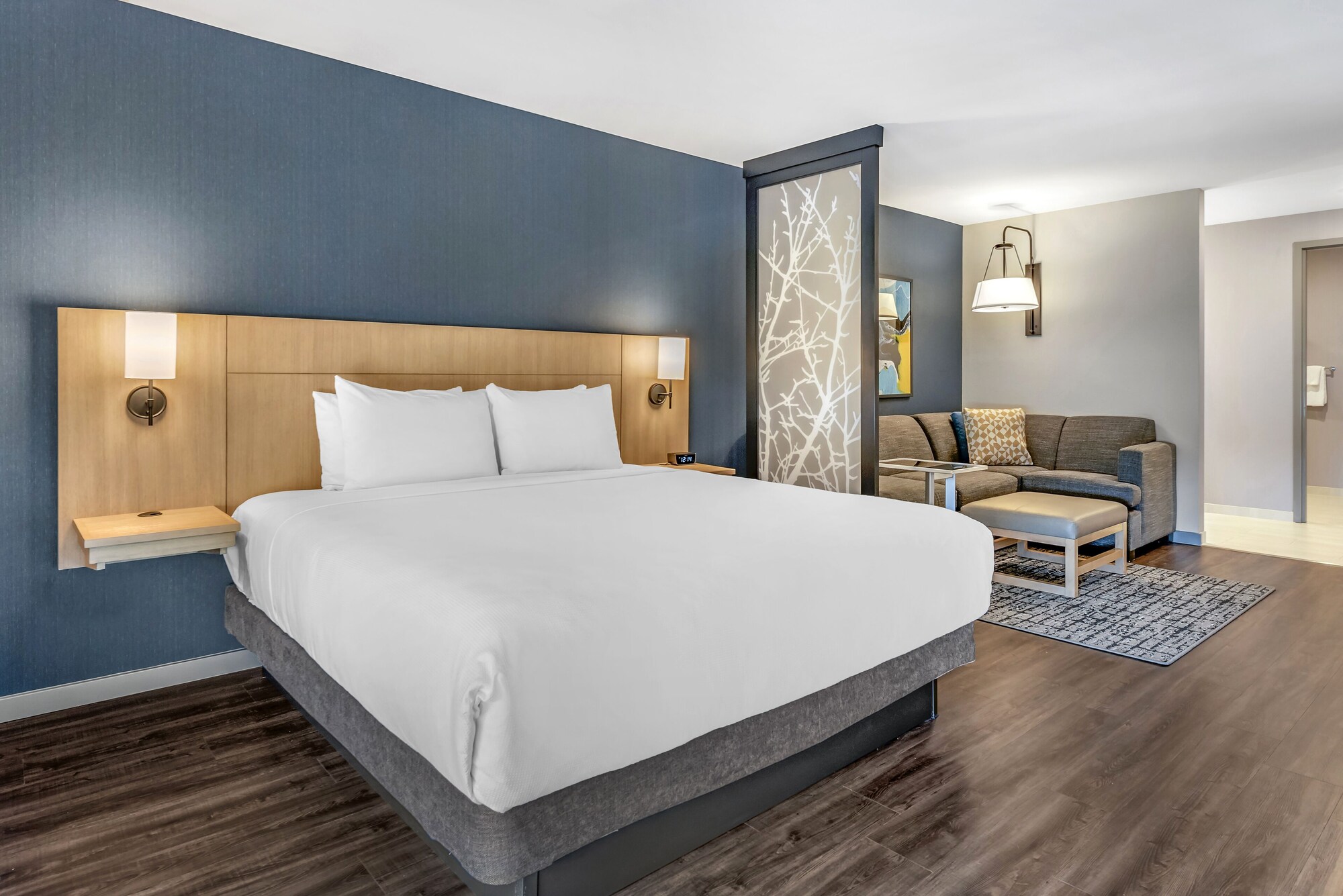 ROOM, KING BED, SOFA