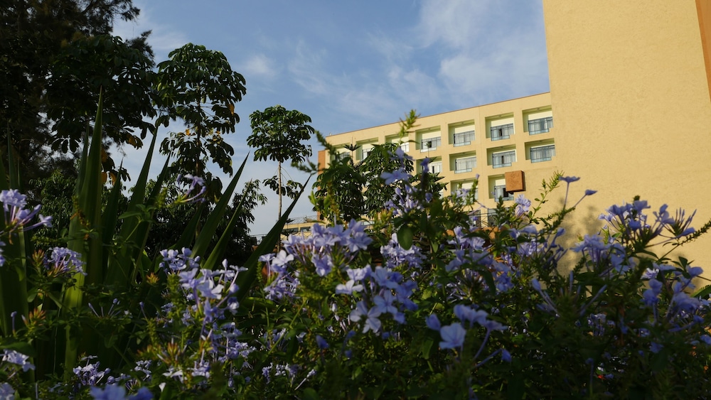 Gorillas Golf Hotel 6/55