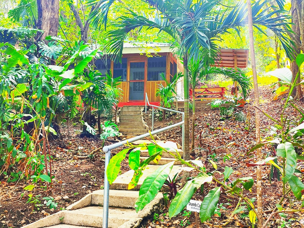 surroundings