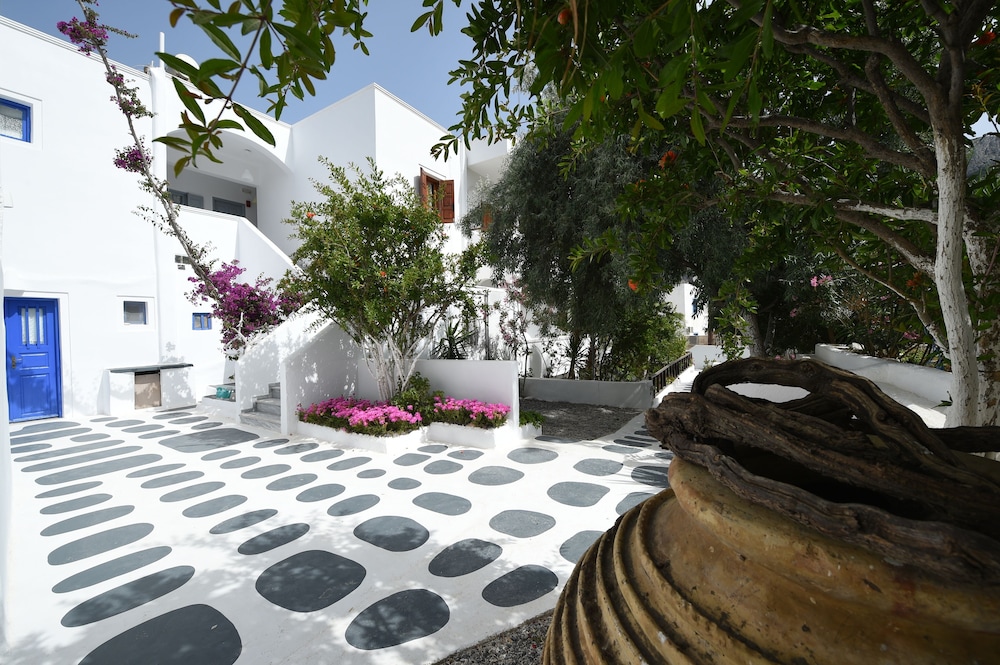 Sunflower Santorini 36/44
