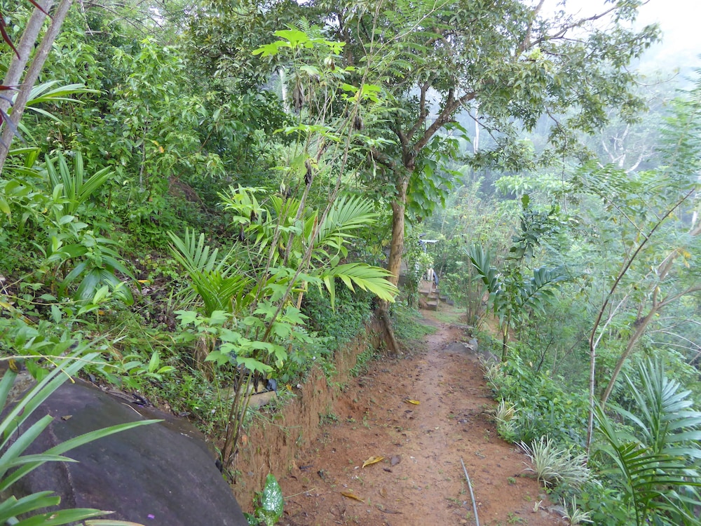 Kurulu Estate 37/50