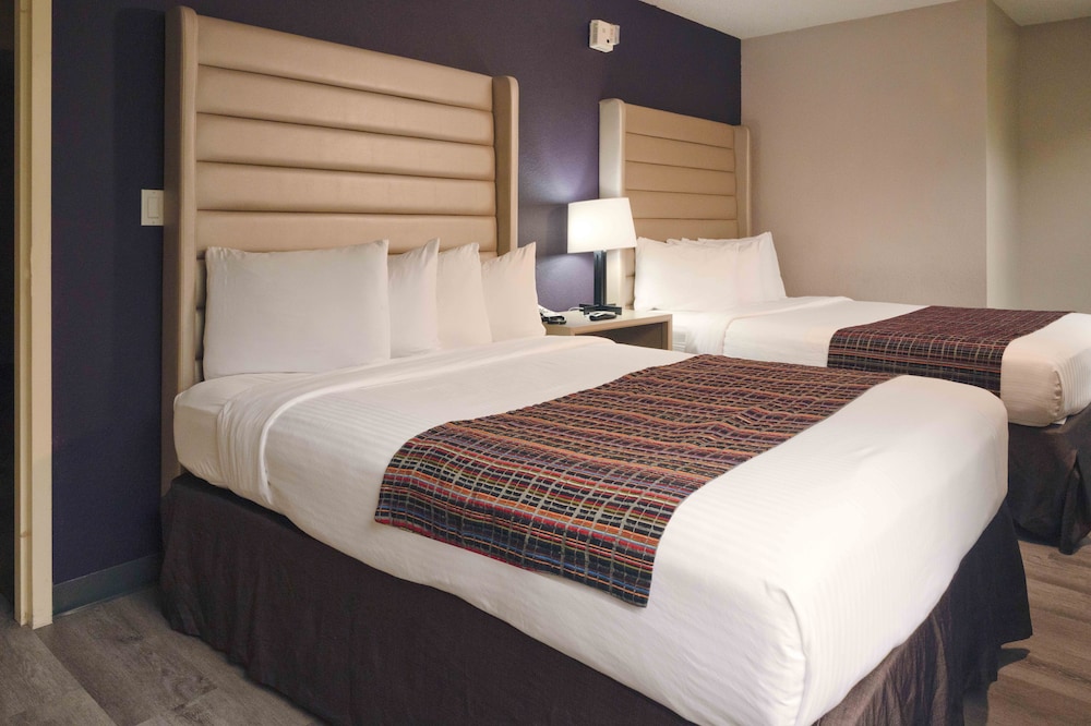 The Palms Inn & Suites 5/45