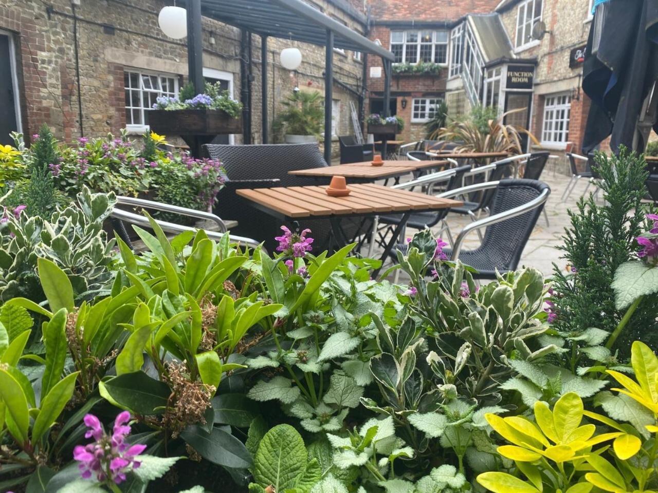The Old Bell Inn 44/51