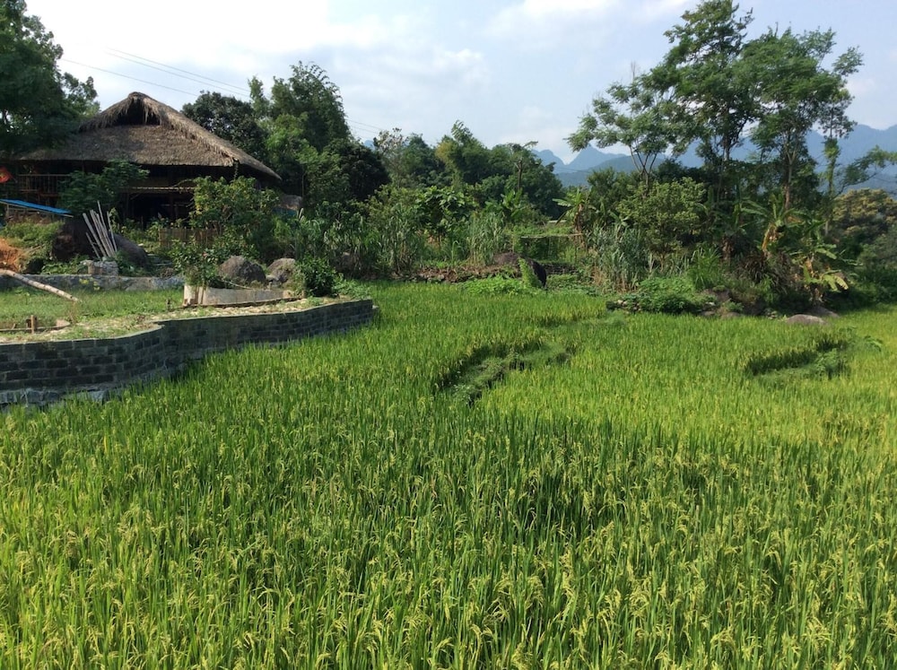 Dong Que Homestay - Hostel 45/50