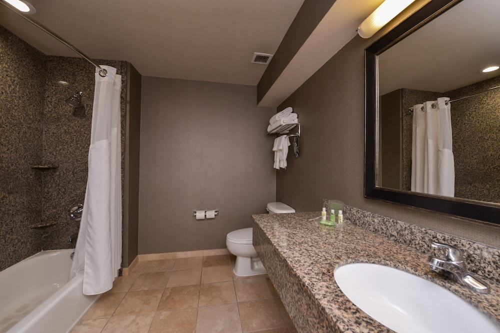 Holiday Inn Ontario Airport 26/73