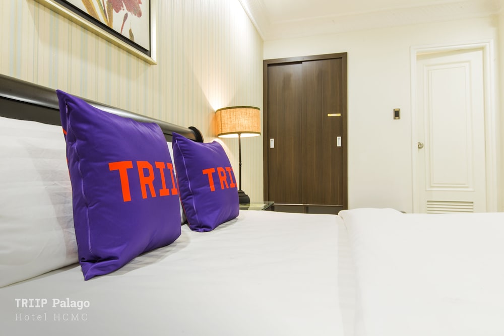 Triip Palago 33/63