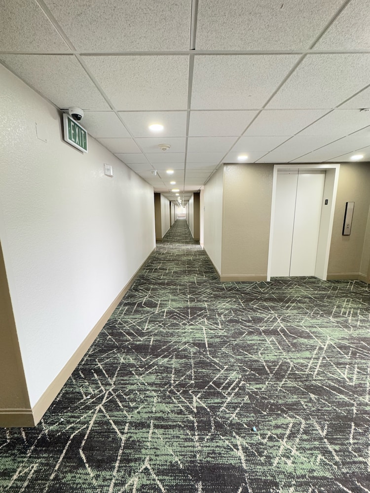 Super 8 by Wyndham Dallas Love Field Airport 13/60