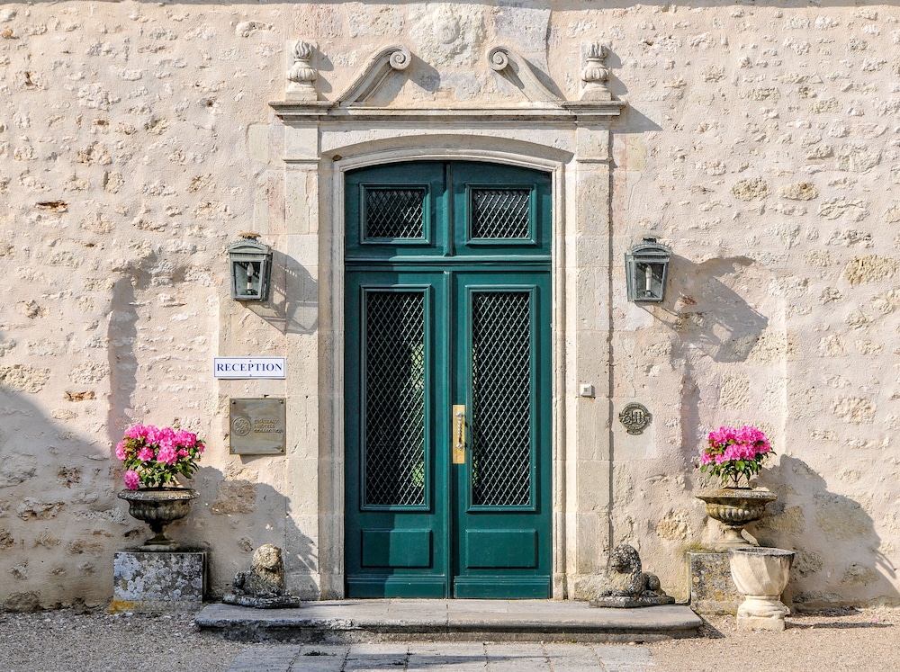 CHATEAU DES VIGIERS 1/50