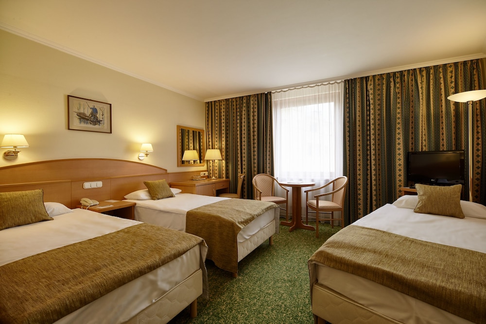 Hotel Erzsebet City Center 24/57