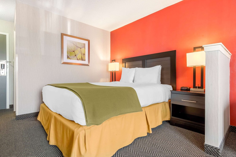 Quality Inn & Suites Mississauga 14/41