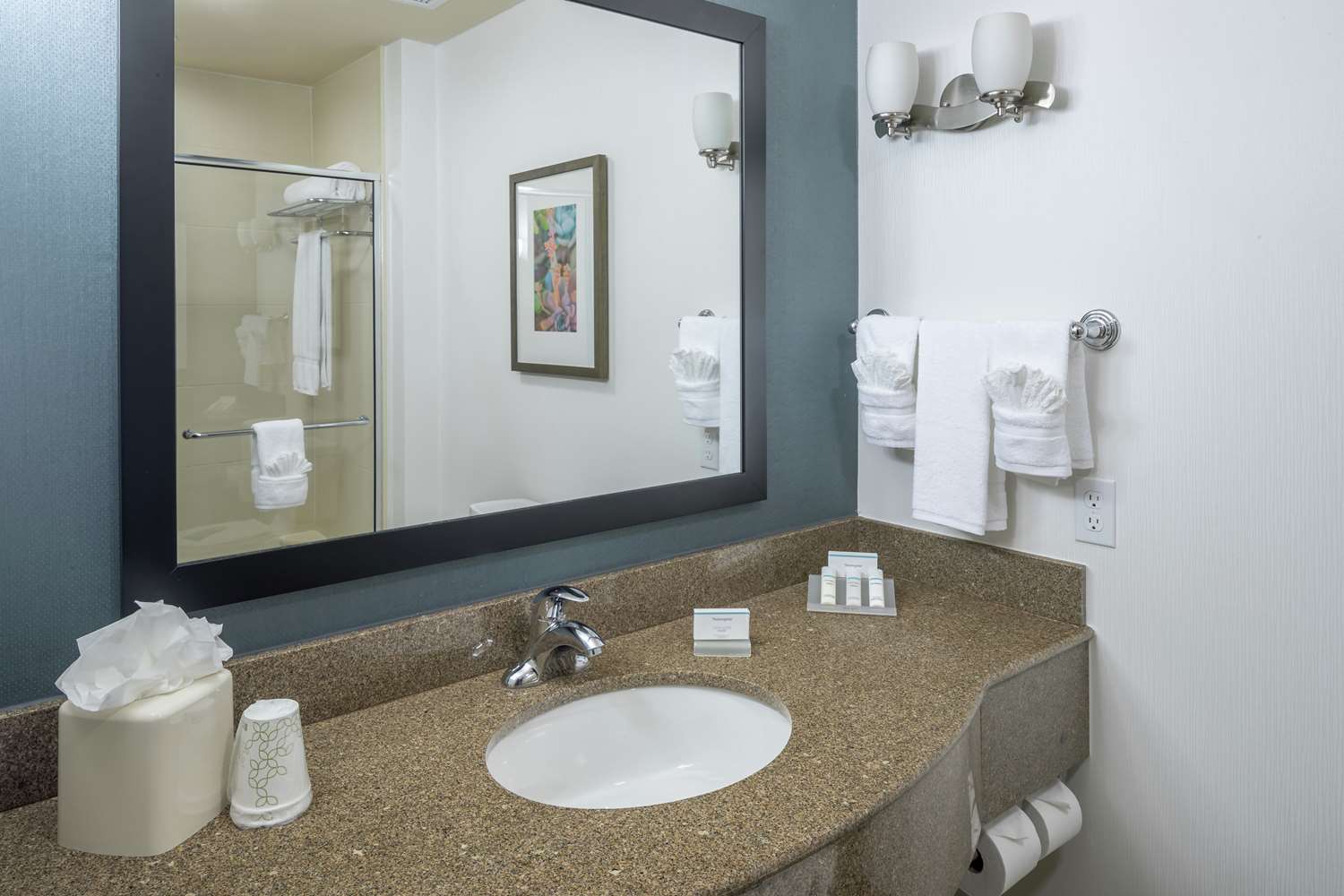 غرفة بريميوم بسرير كينج، Hilton Garden Inn Dfw North Grapevine 2/2