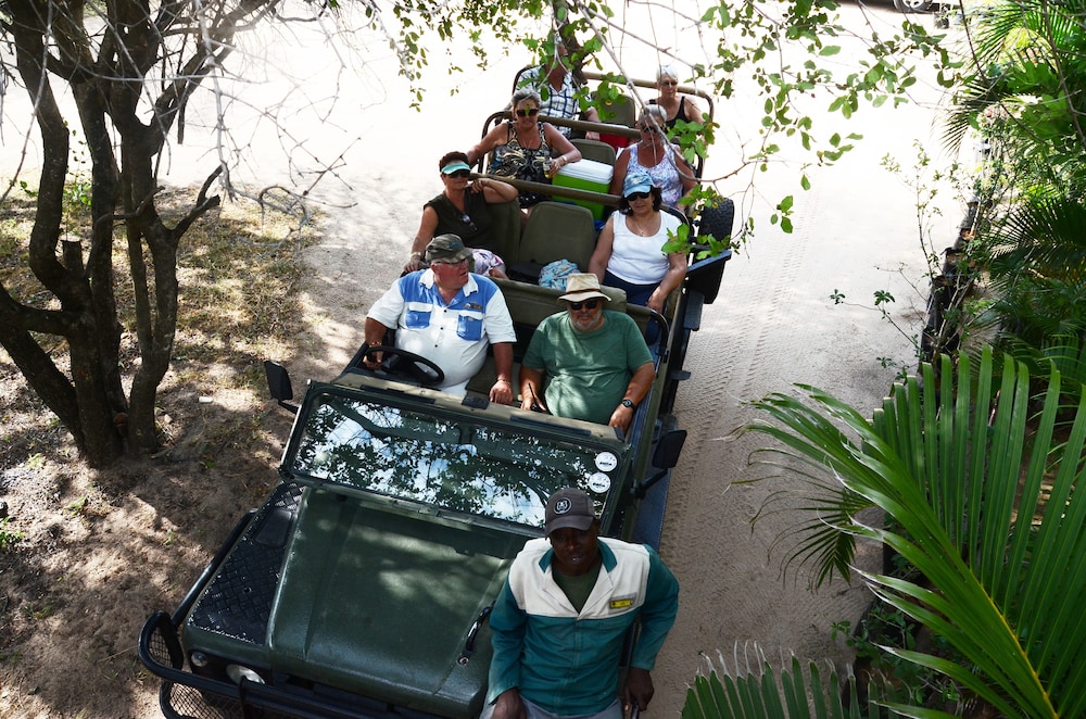 Pezulu Tree House Lodge 46/50