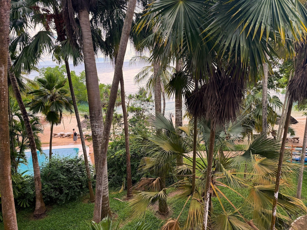 Jungle Paradise Beach Resort & Spa Mbweni Ruins 30/50