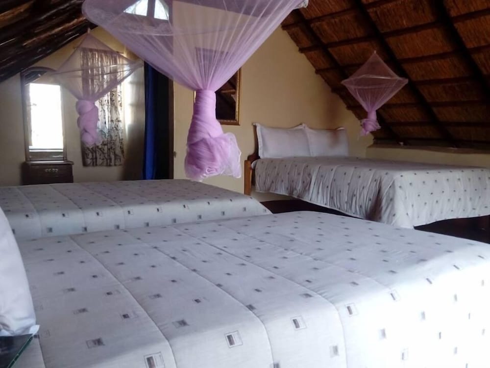 Liya Lodge and Campsite 3/19