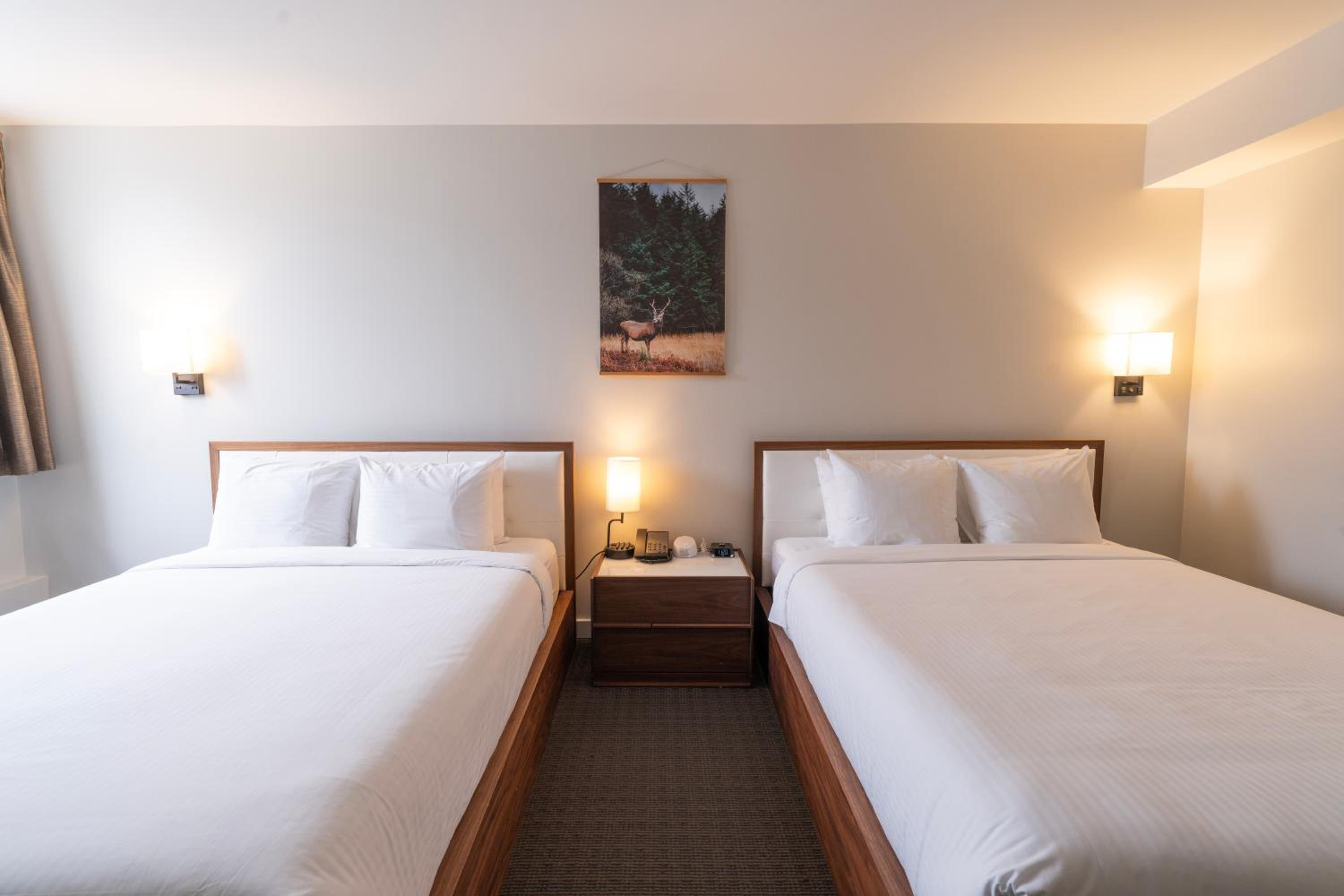 Village, 2 Queen Beds، Adara Hotel 2/10