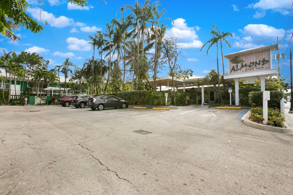 Almond Tree Inn 51/67