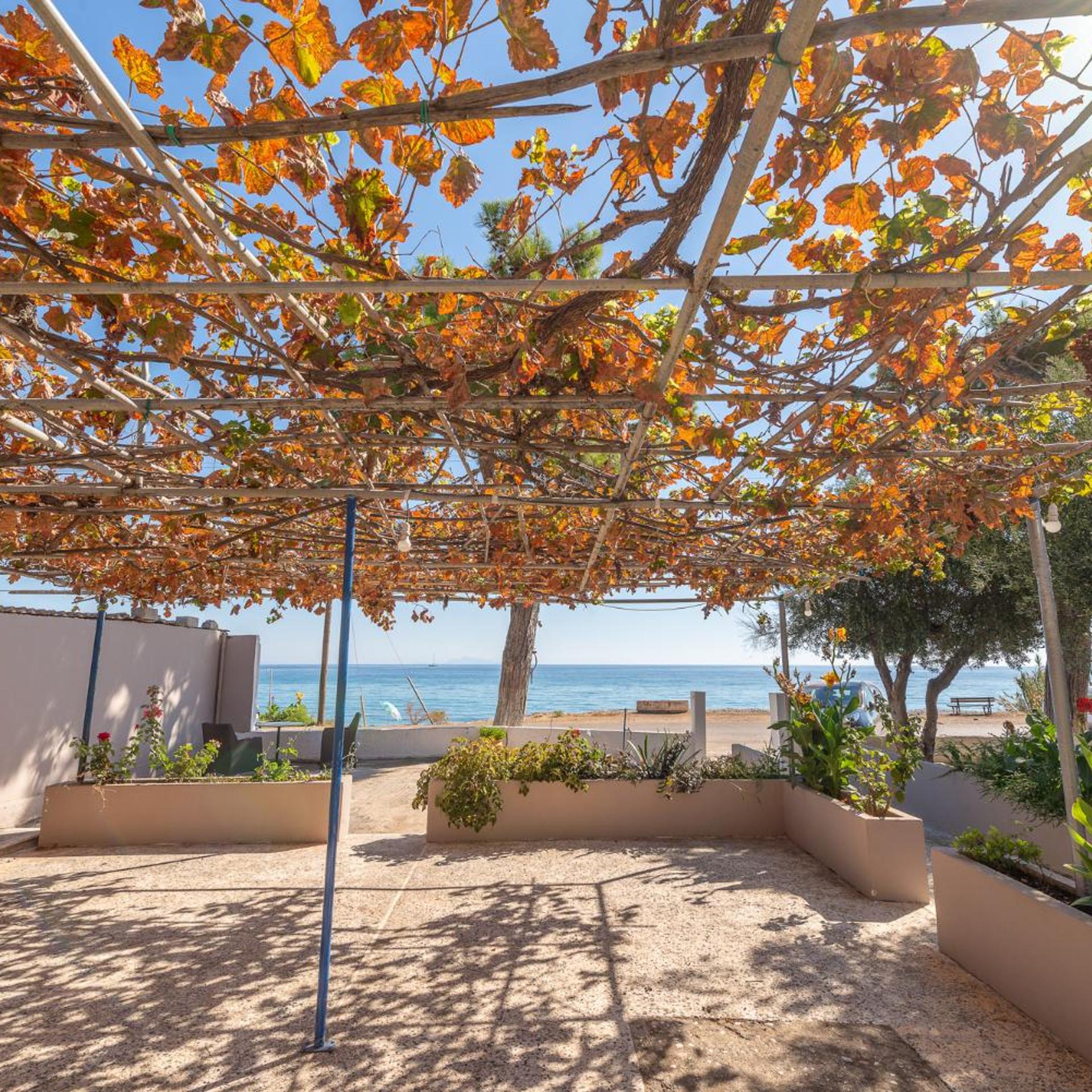 Akrogiali Studios Poros 10/15