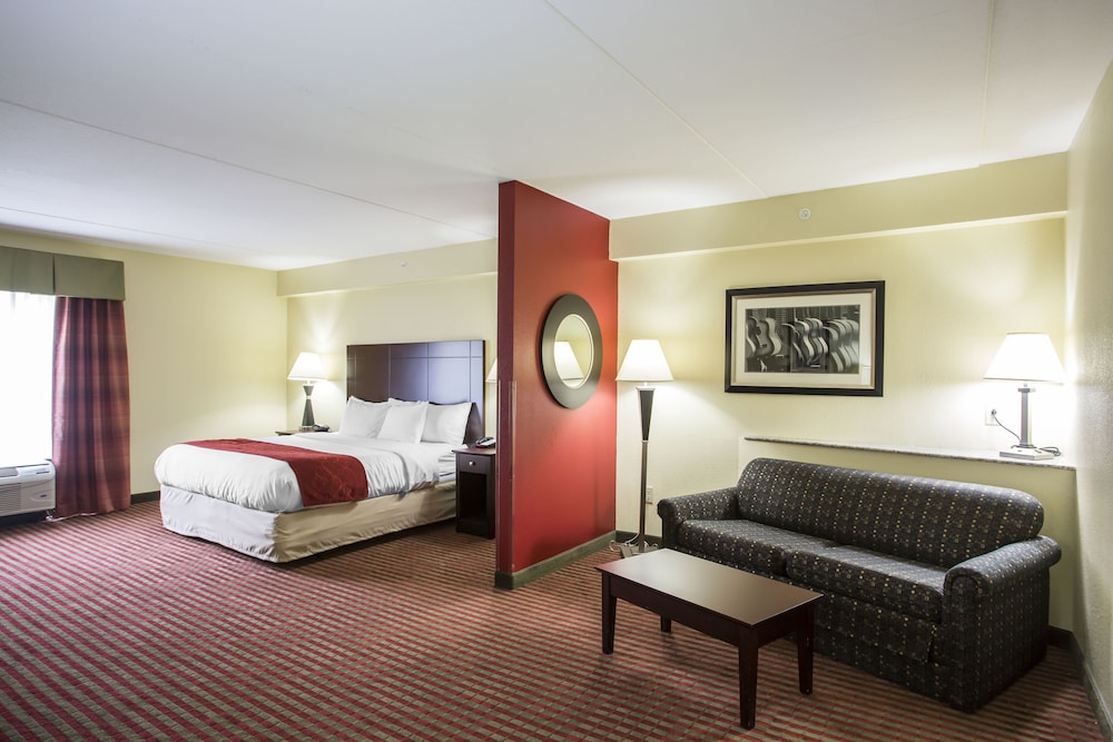 Comfort Suites Mount Juliet 28/57