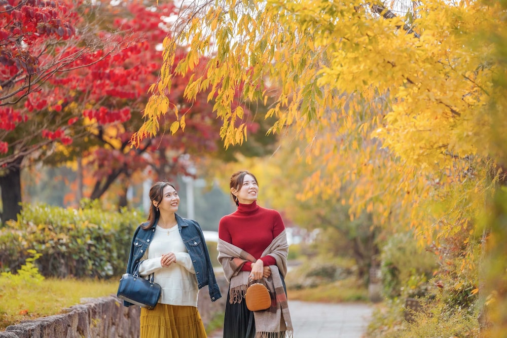 OMO5 Kyoto Sanjo by Hoshino Resorts 42/50