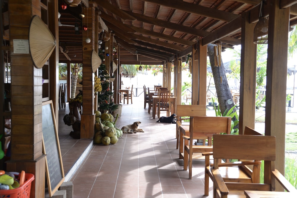 Mango Beach Resort 10/50