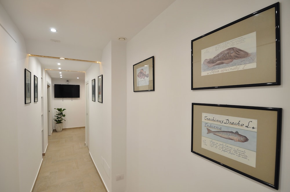 Delco Naples 33/46