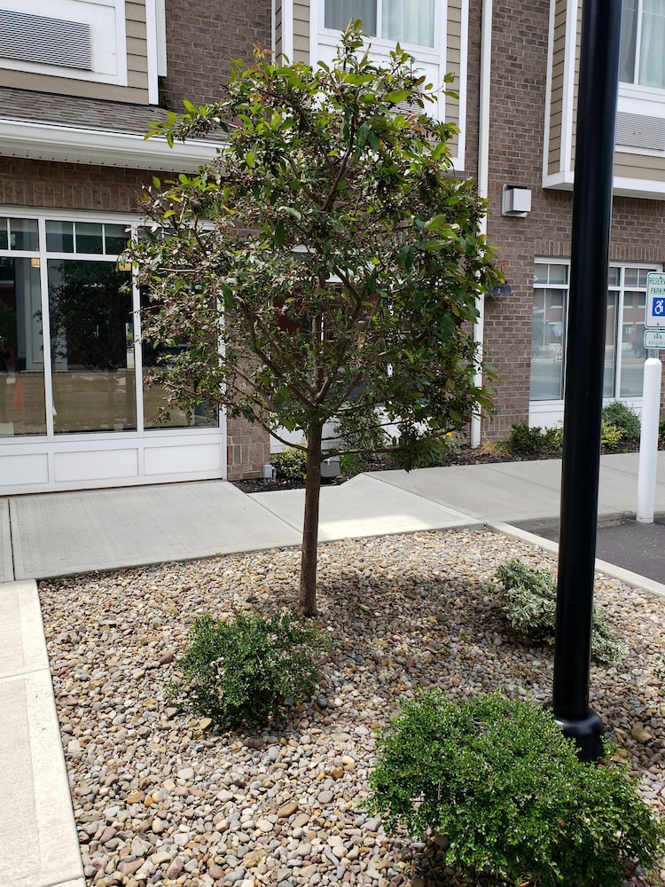 Microtel by Wyndham Penn Yan Finger Lakes Region 61/64