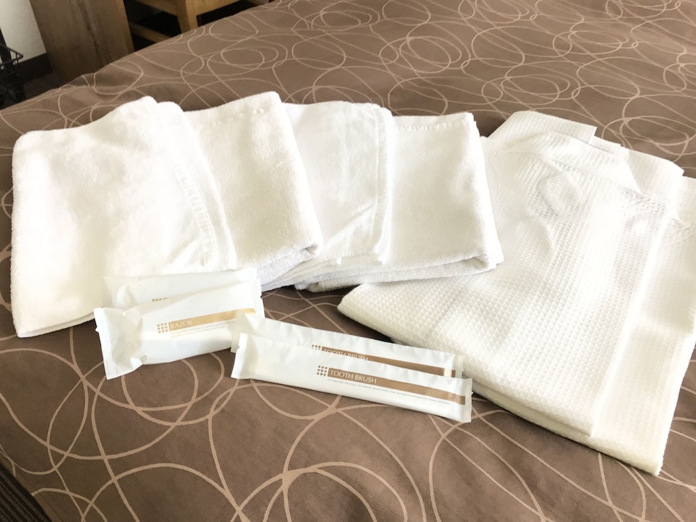 Ichimiya Green Hotel 24/41