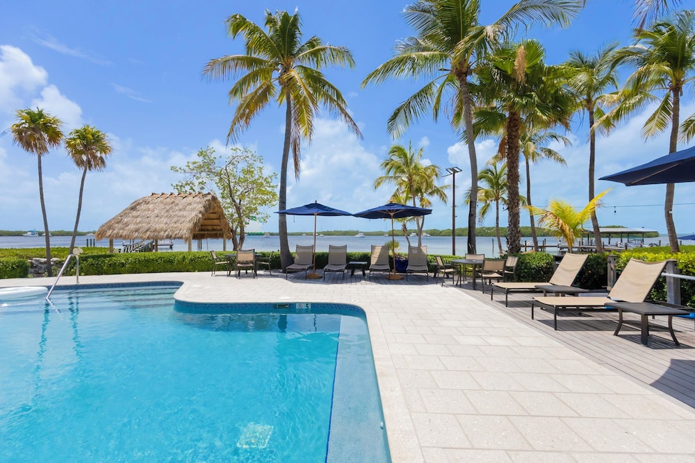 Coconut Palm Inn 25/50