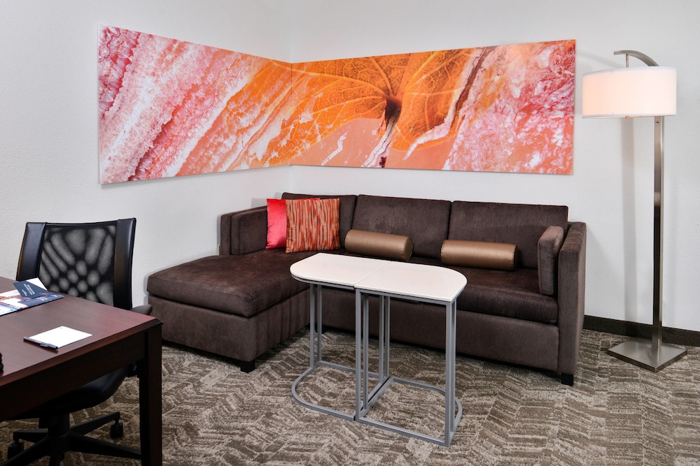 Springhill Suites By Marriott Oklahoma City Airport 17/31