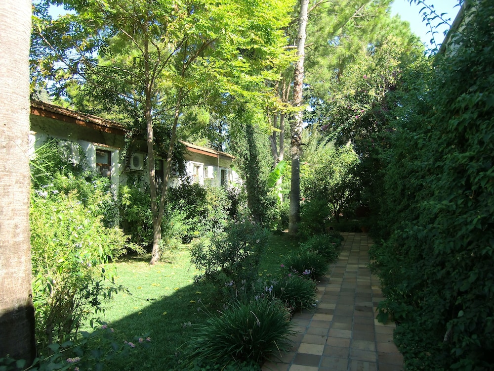 Hotel Happy Caretta 27/47