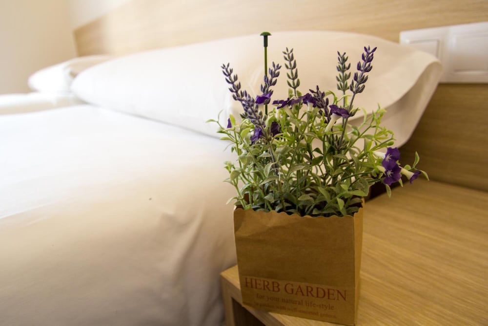 Hostal Barcelona Travel 25/35