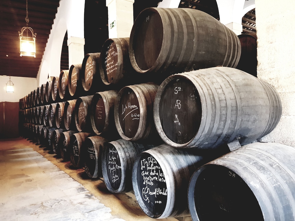 Hotel Bodega Tio Pepe 27/57
