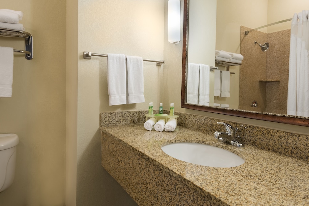 Holiday Inn Express Hotel Suites New Iberia Avery Island 16/80