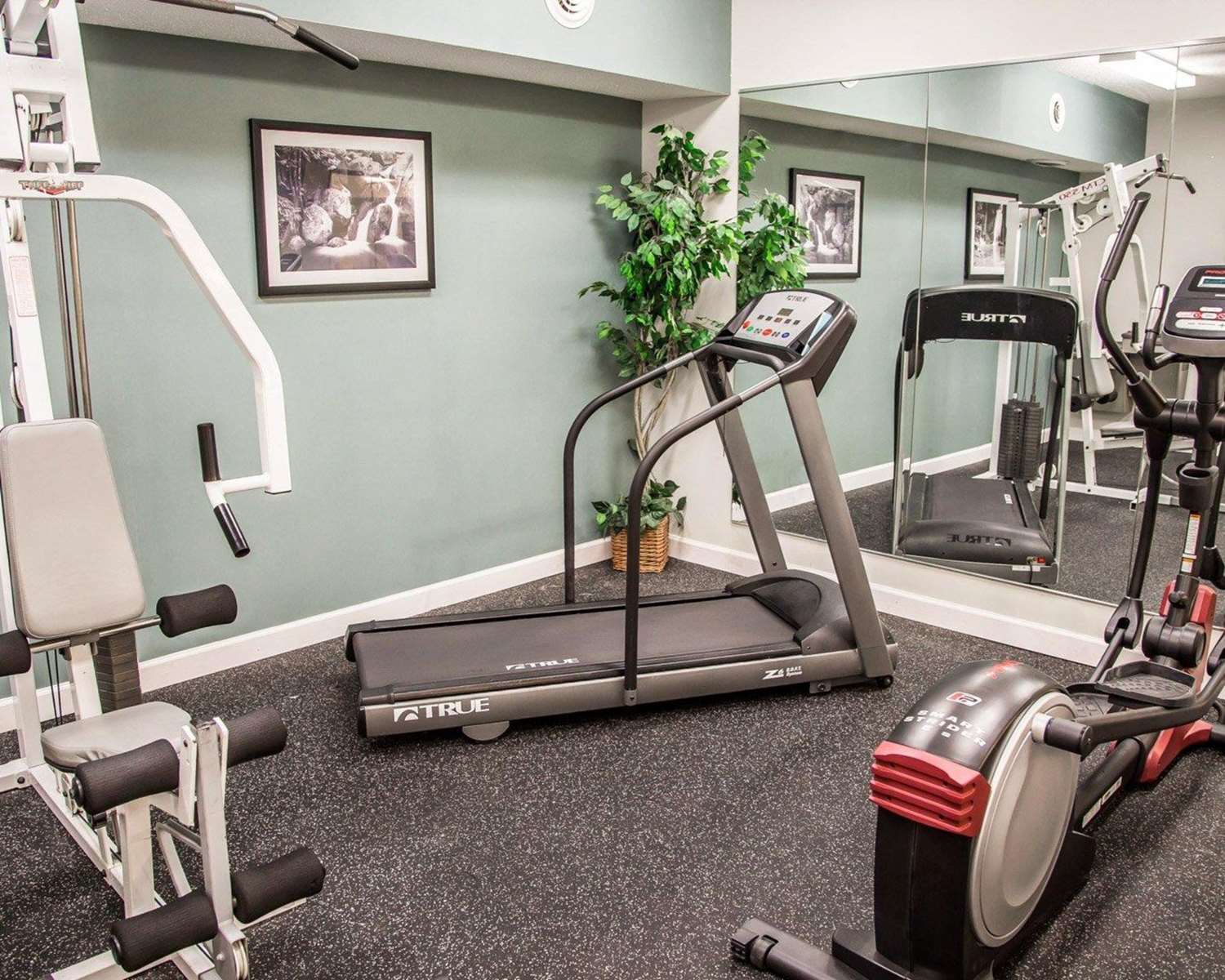 Sleep Inn & Suites Davenport - Quad Cities 8/19