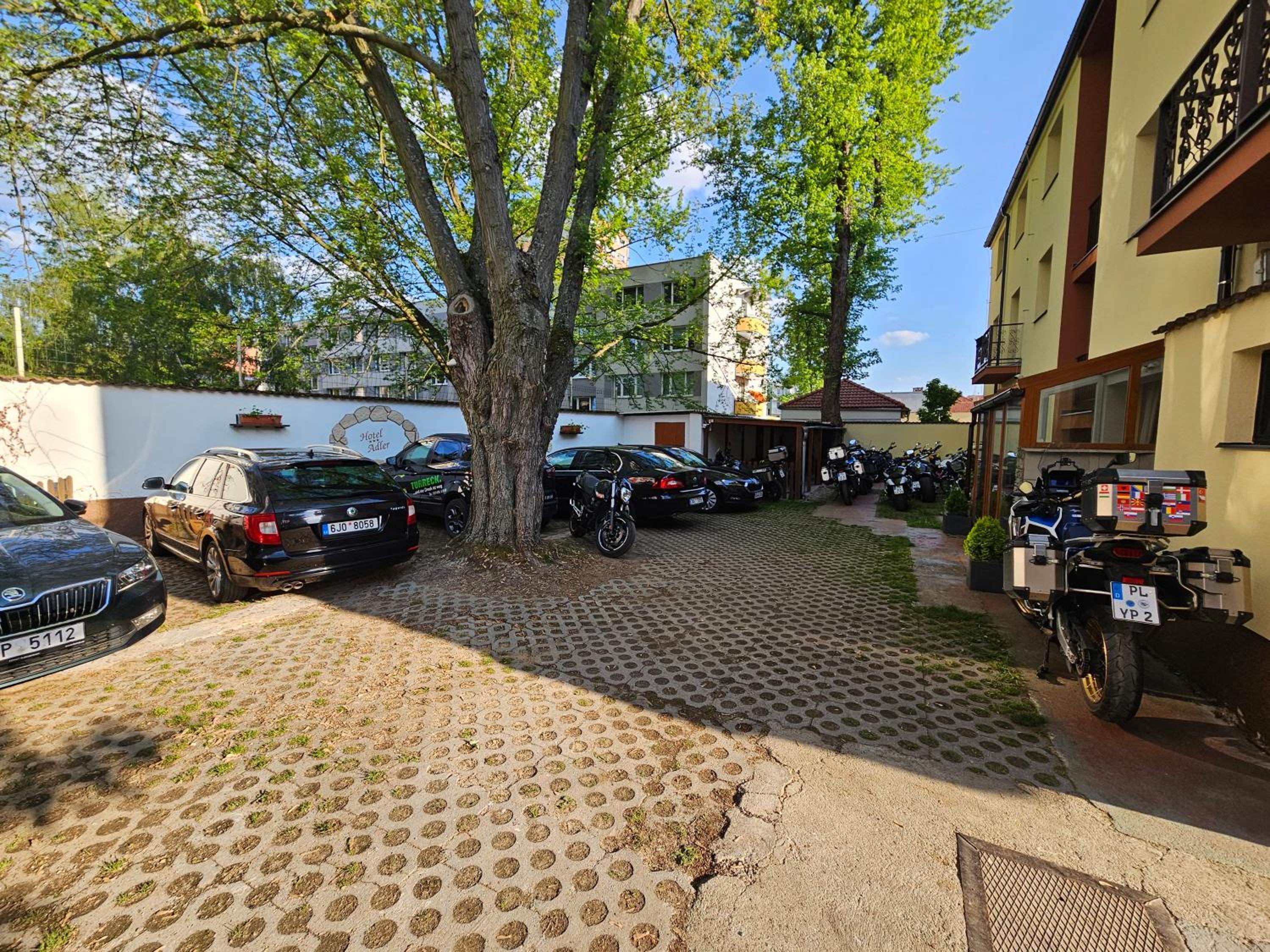 Alder 30/41