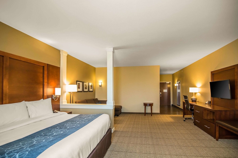 Comfort Suites Dodge City, KS 13/39