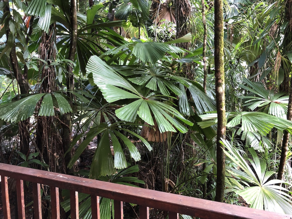 Daintree Wilderness Lodge 30/34