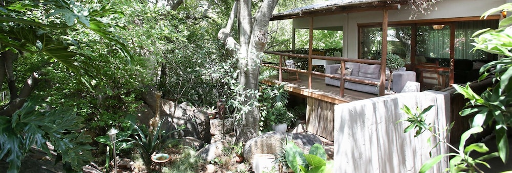 Little Forest Guest House 1/37