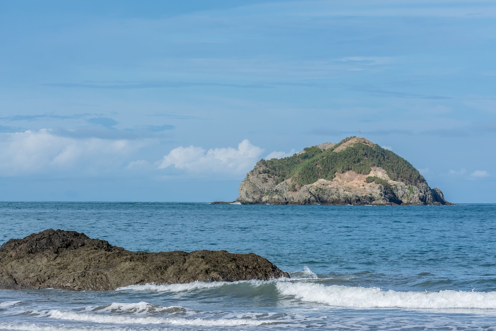 Manuel Antonio 33/49
