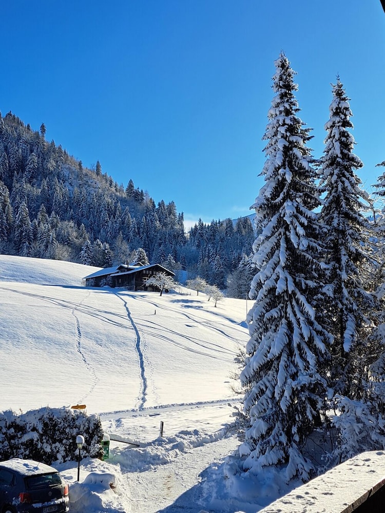 Hotel Le Grand Chalet 37/50
