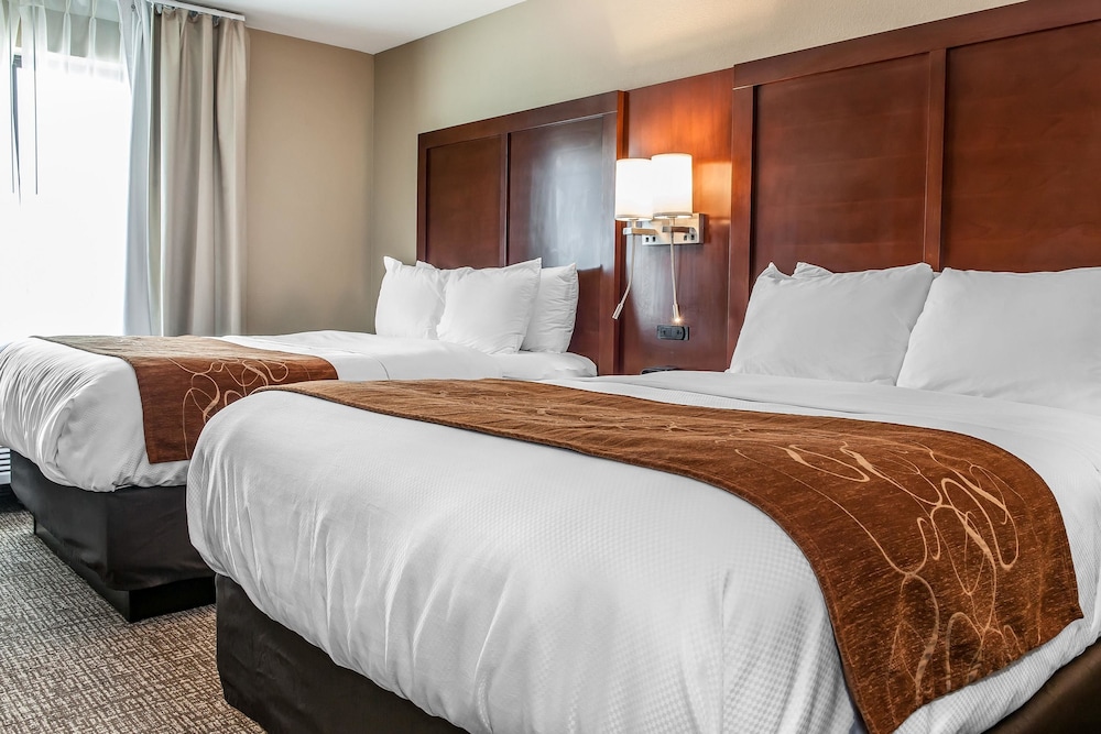 Comfort Suites Rensselaer Near Fair Oaks 11/42