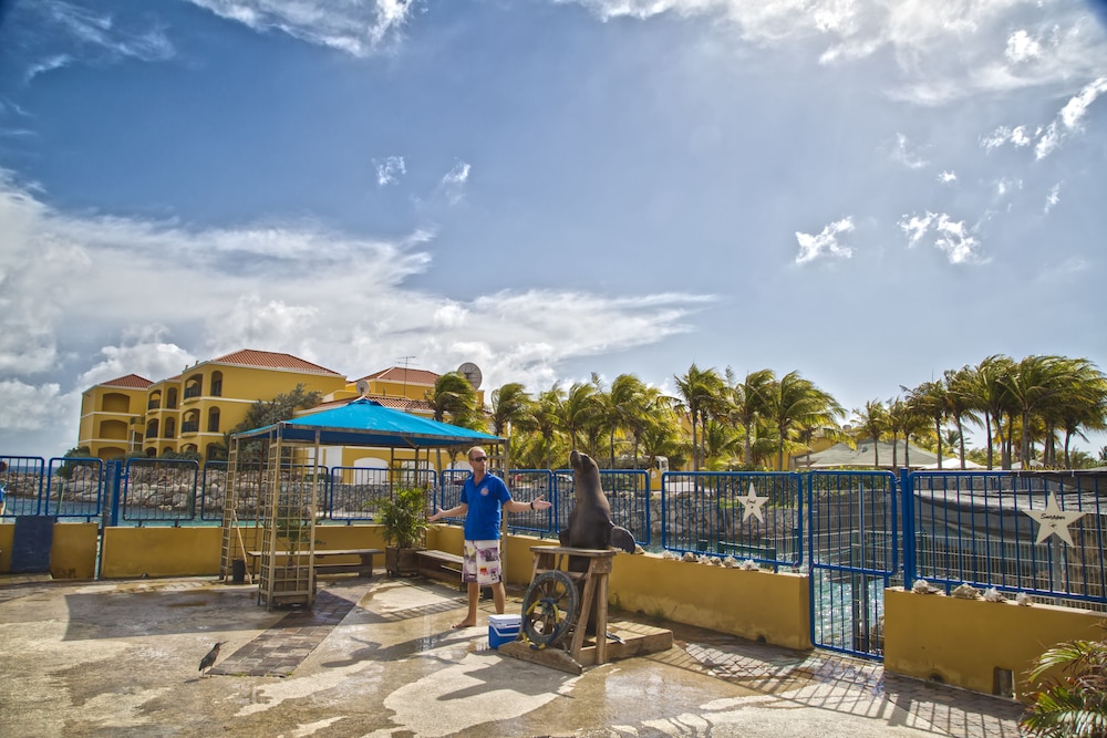 The Royal Sea Aquarium Resort 73/84