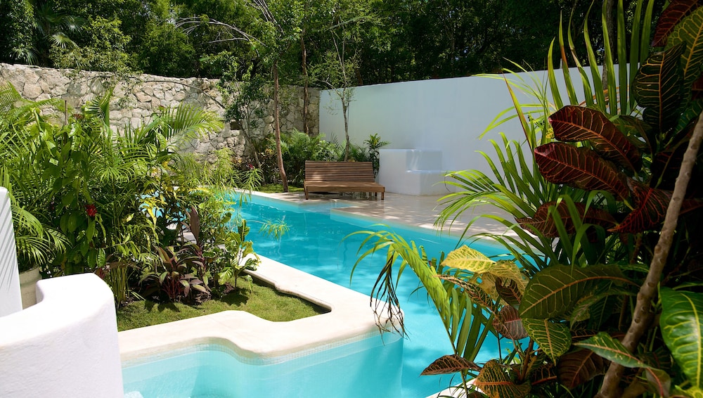 Livetulum 52/58