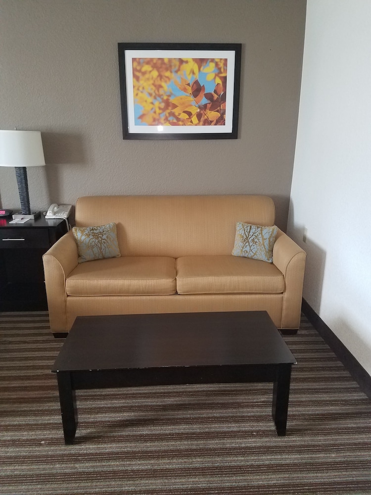 Best Western Plus Newark/Christiana Inn 20/30