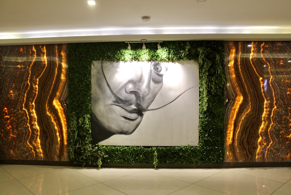 Dali Ejecutivo酒店(Hotel Dali Ejecutivo) 图片3