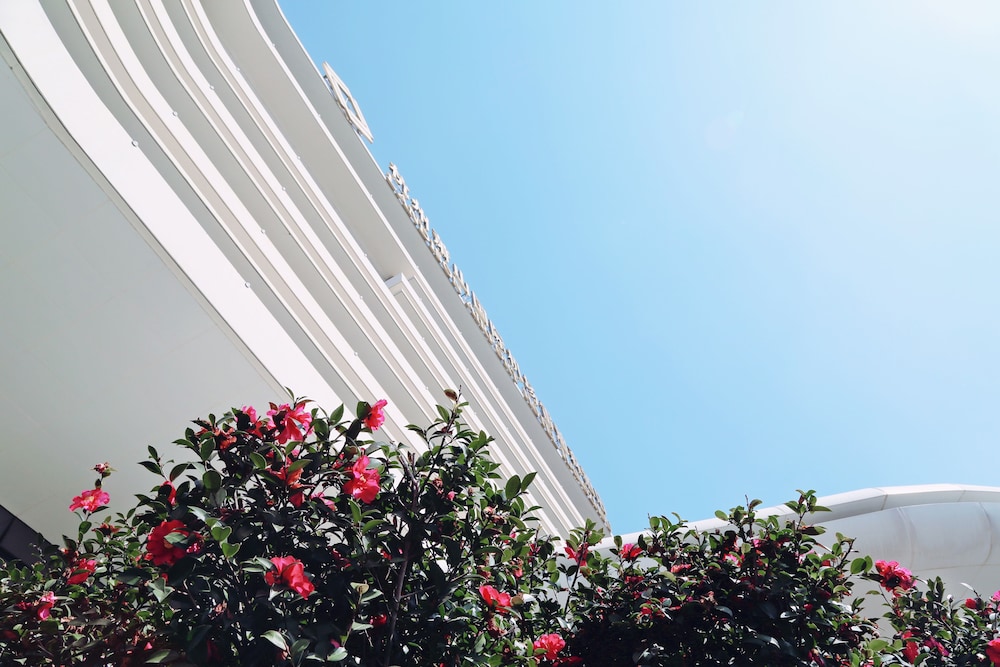 ZTG Grand Hotel Airport Hangzhou 41/50