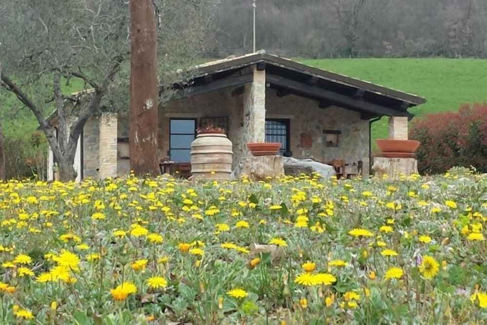 Poggio Al Vento 26/40