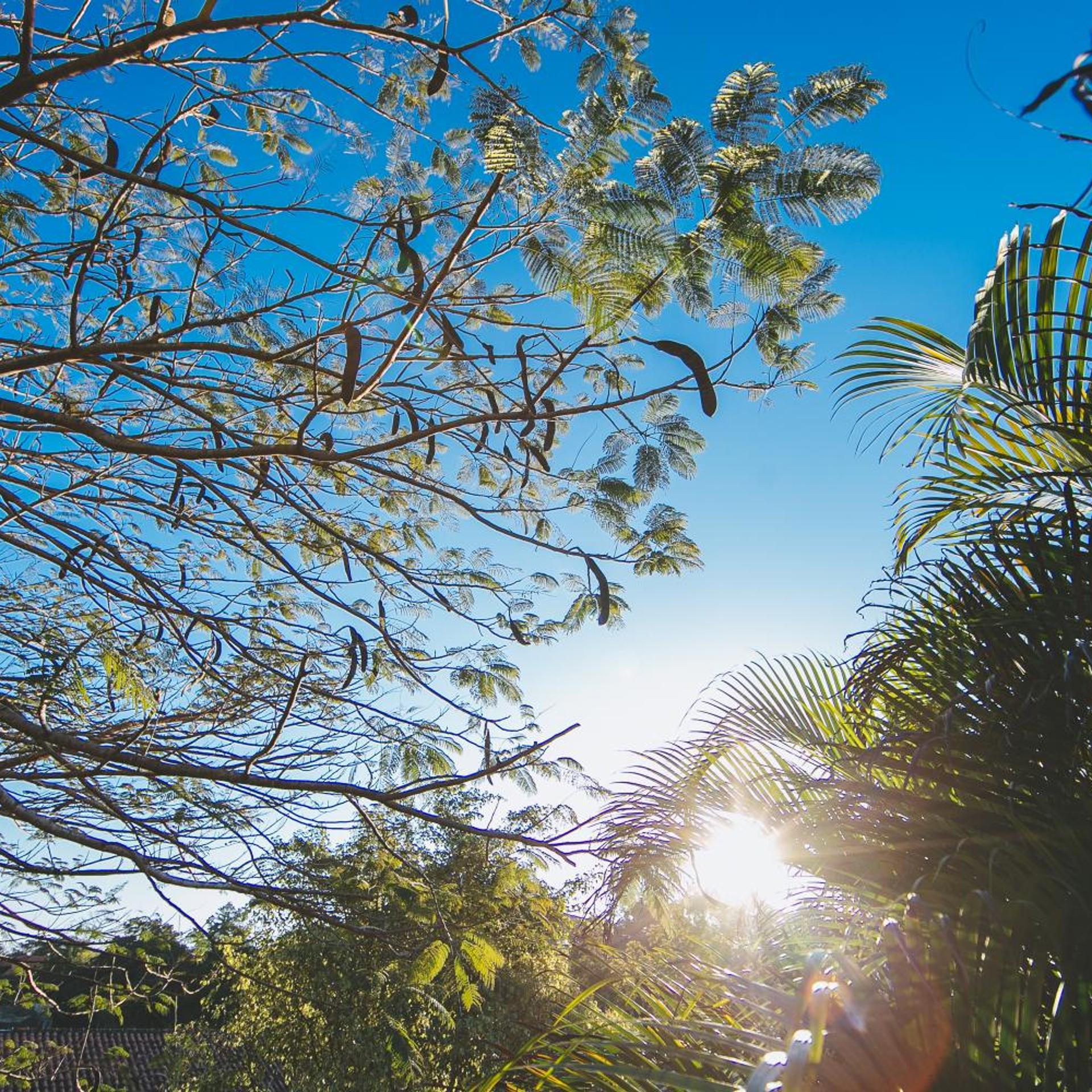 Villa Seychelles Cabanas 39/50